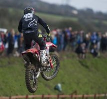 Jake Nicholls