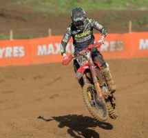 Jake Nicholls 3